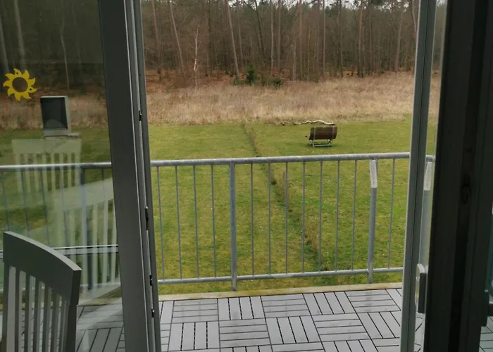 Kueste Und Wald